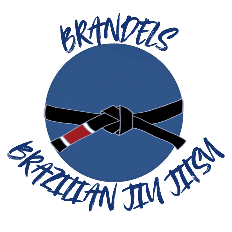 Brandeis University BJJ logo